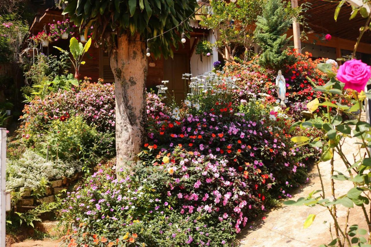 Soul Pnb Homestay Νταλάτ Εξωτερικό φωτογραφία