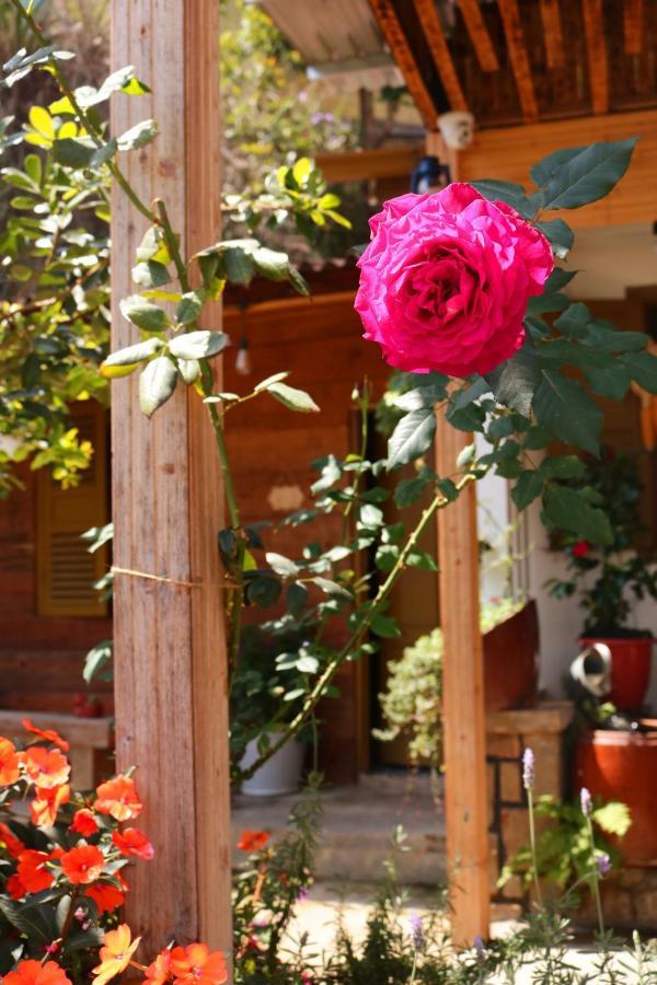 Soul Pnb Homestay Νταλάτ Εξωτερικό φωτογραφία
