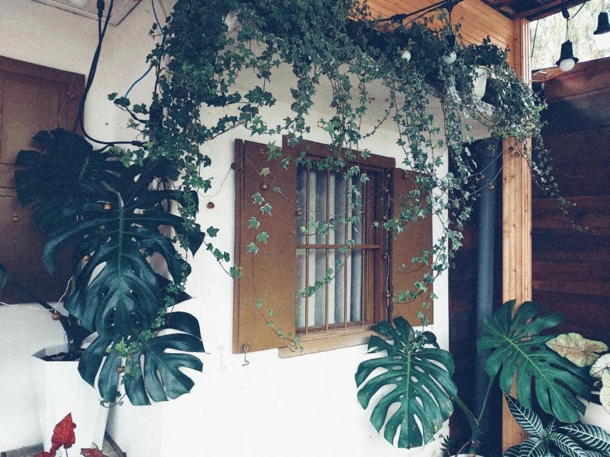 Soul Pnb Homestay Νταλάτ Εξωτερικό φωτογραφία
