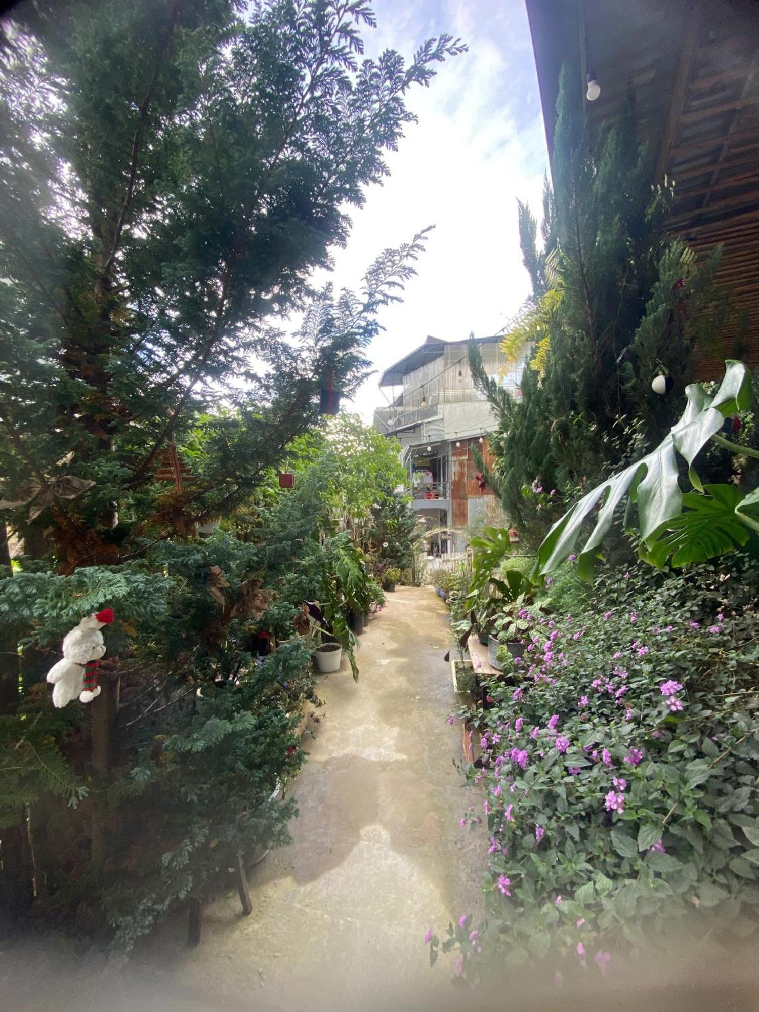 Soul Pnb Homestay Νταλάτ Εξωτερικό φωτογραφία